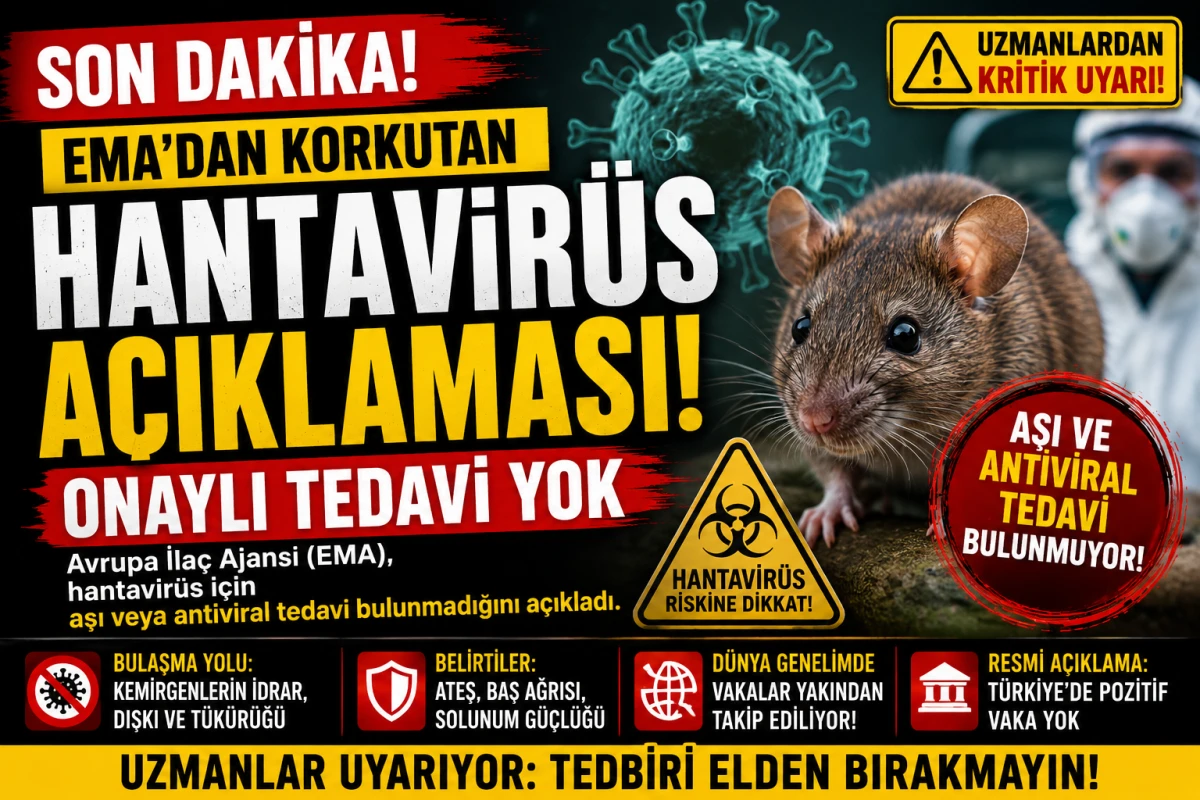 EMA&rsquo;dan Korkutan Hantavir&uuml;s A&ccedil;ıklaması! Onaylı Tedavi Yok