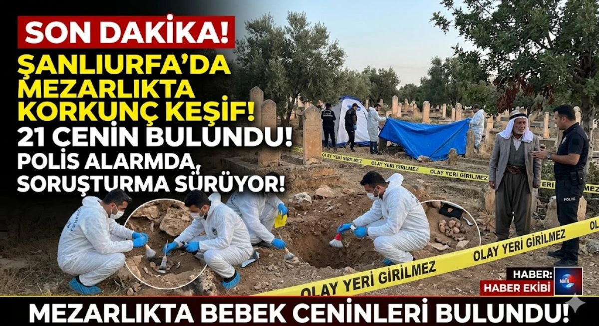 Şanlıurfa&rsquo;da mezarlıkta korkun&ccedil; keşif: 21 cenin bulundu